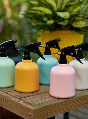 喷水壶浇花浇水喷花器园艺养花家用洒水壶喷雾器消毒专用小喷壶瓶