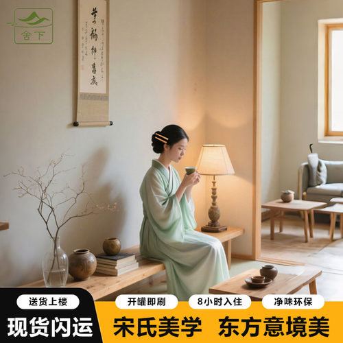 舍下宋氏美学风墙面乳胶漆背景墙