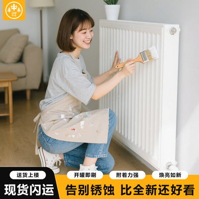 【可定制调色】暖气片改色翻新漆