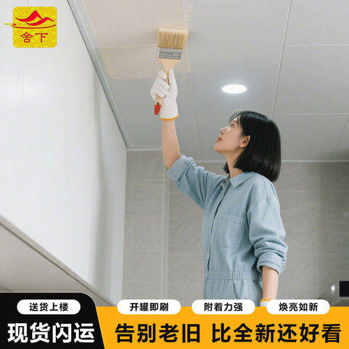 【支持定制颜色】天花板吊顶改色