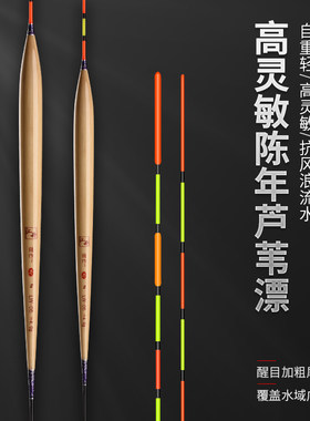 汇开芦苇长尾罗非鱼短脚长身