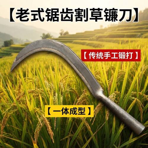 农用割草镰刀收割水稻锯齿镰刀