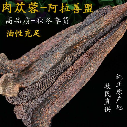阿拉善肉苁蓉牧民采挖产地直发