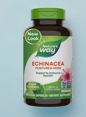 Nature's Way紫锥菊草本植物Echinacea 家人免疫力提升180粒保健