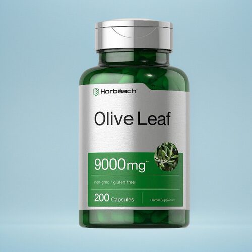 橄榄叶胶囊保健品成人免疫力健康