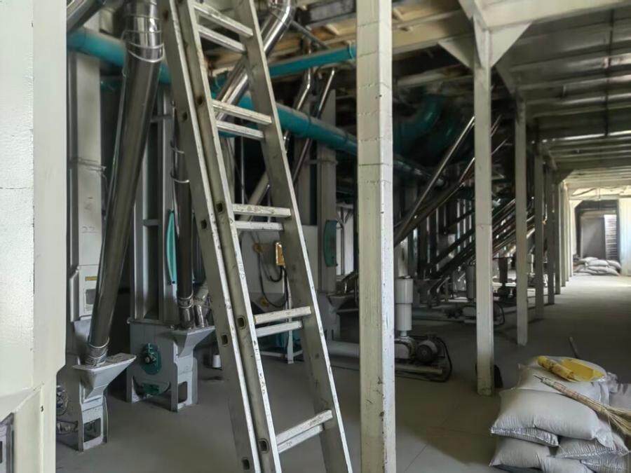 4月18日鸡西某公司内的涉案机械设备（大米生产线）使用权，使用期限为5个月网络拍卖公告