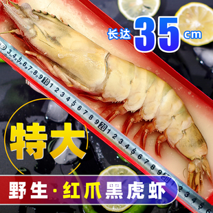 特大黑虎虾鲜活超大巨型野生红虎虾海捕大虾速冻红爪大对虾礼盒装