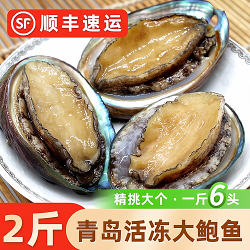 青岛大鲍鱼6头鲜活速冻过节宴客