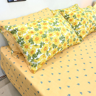 新款 纯棉100枕套全棉枕头套成人48 74cm套女一对装 小碎花单只装