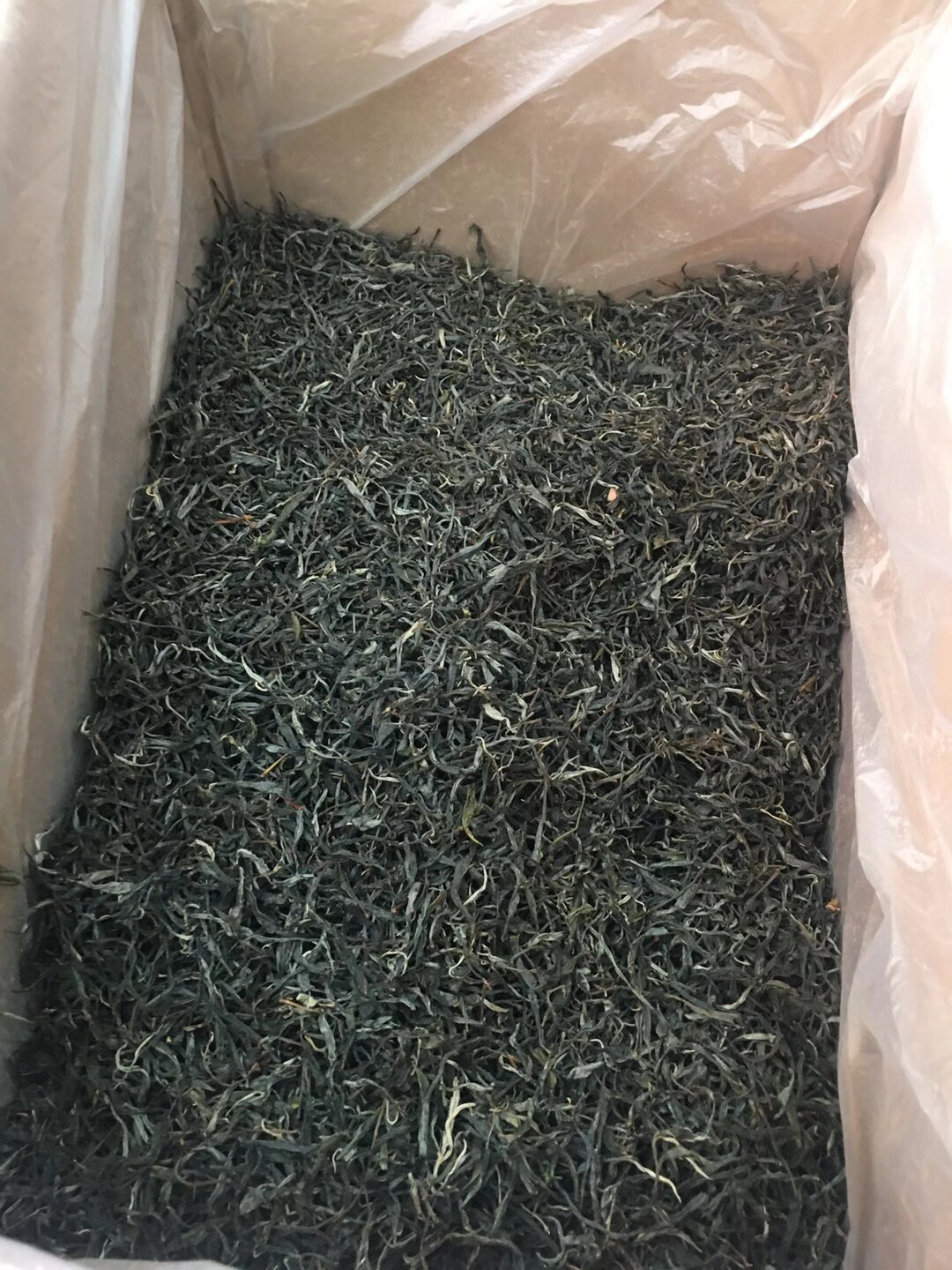 古树单株散装2025年明前普洱茶
