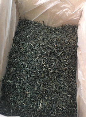 生普洱茶曼糯老寨生茶云南特级散装古树茶叶2025年明前春茶250g