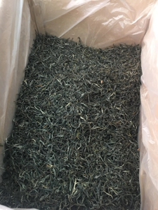 古树单株散装2025年明前普洱茶