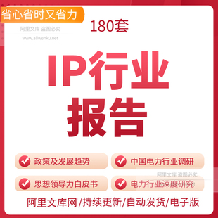 IP行业报告中国影视游戏服饰时尚IP传媒行业解读产业动漫产品文化