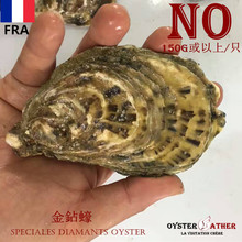 Oyster 24只裝法國進口鮮活刺身蠔 Diamants Speciales 金鉆蠔