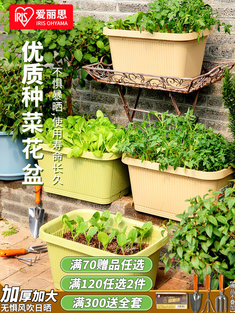 爱丽思阳台花盆大号家用种菜专用箱长方形种菜盆爱丽丝塑料种植箱