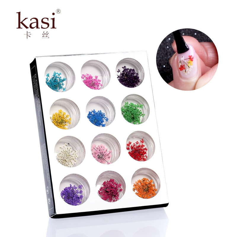 KaSi Nhật Bản Làm móng tay Silicone Khuôn Hoa nhỏ Hoa Daisy Khắc Epoxy Quang trị liệu Nail Ba Lan Keo Nail Trang sức Công cụ bộ dụng cụ làm nail cơ bản