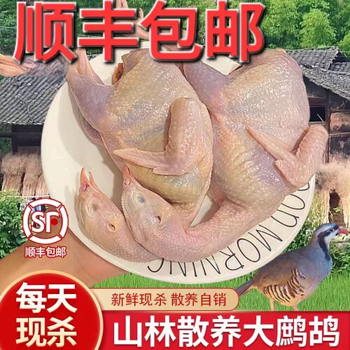 新鲜鹧鸪活鸟现杀东北飞龙呱呱鸡