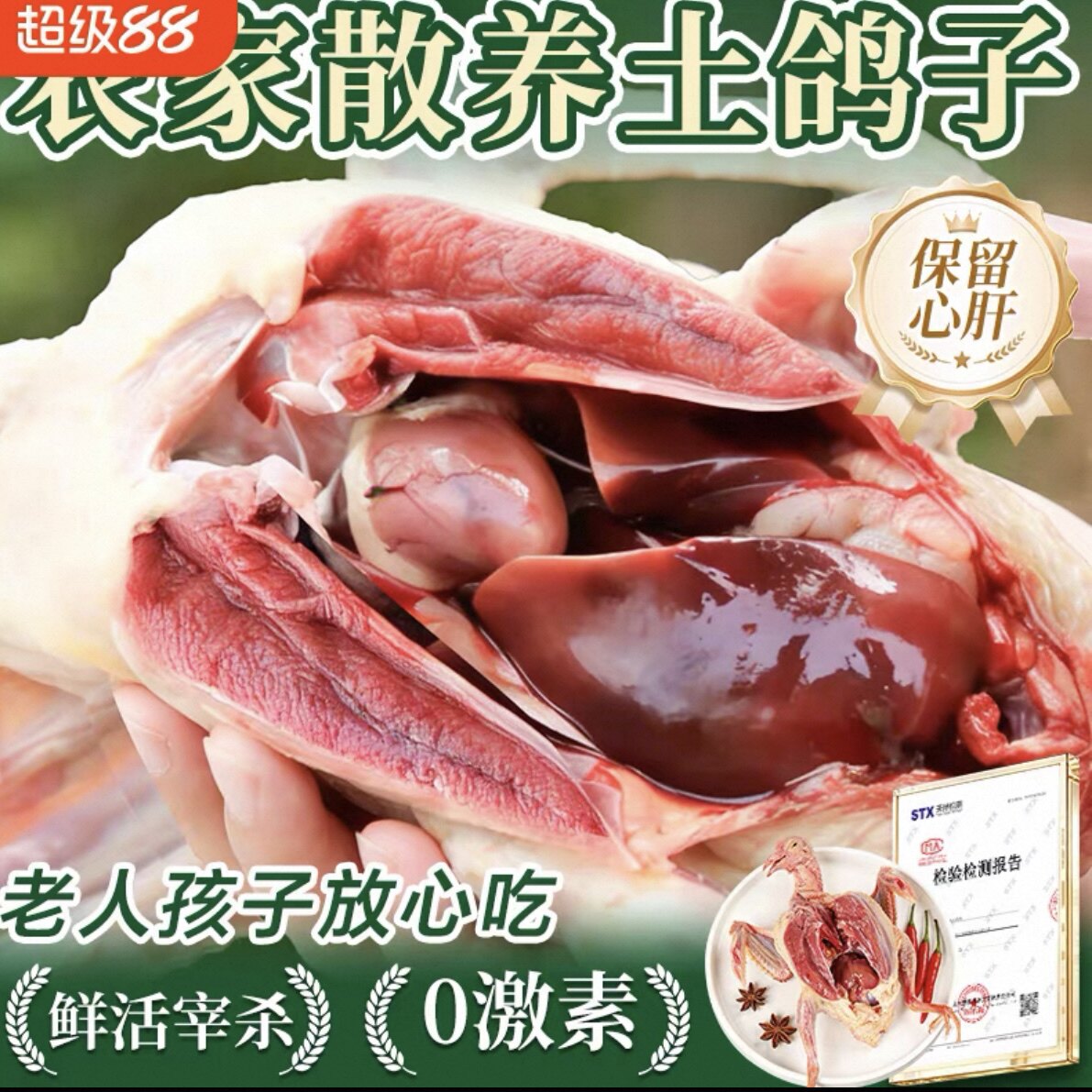 鸽子新鲜乳鸽子炖煲汤农家散养土鸽子鲜活肉生鲜冷冻老鸽子活鸽子