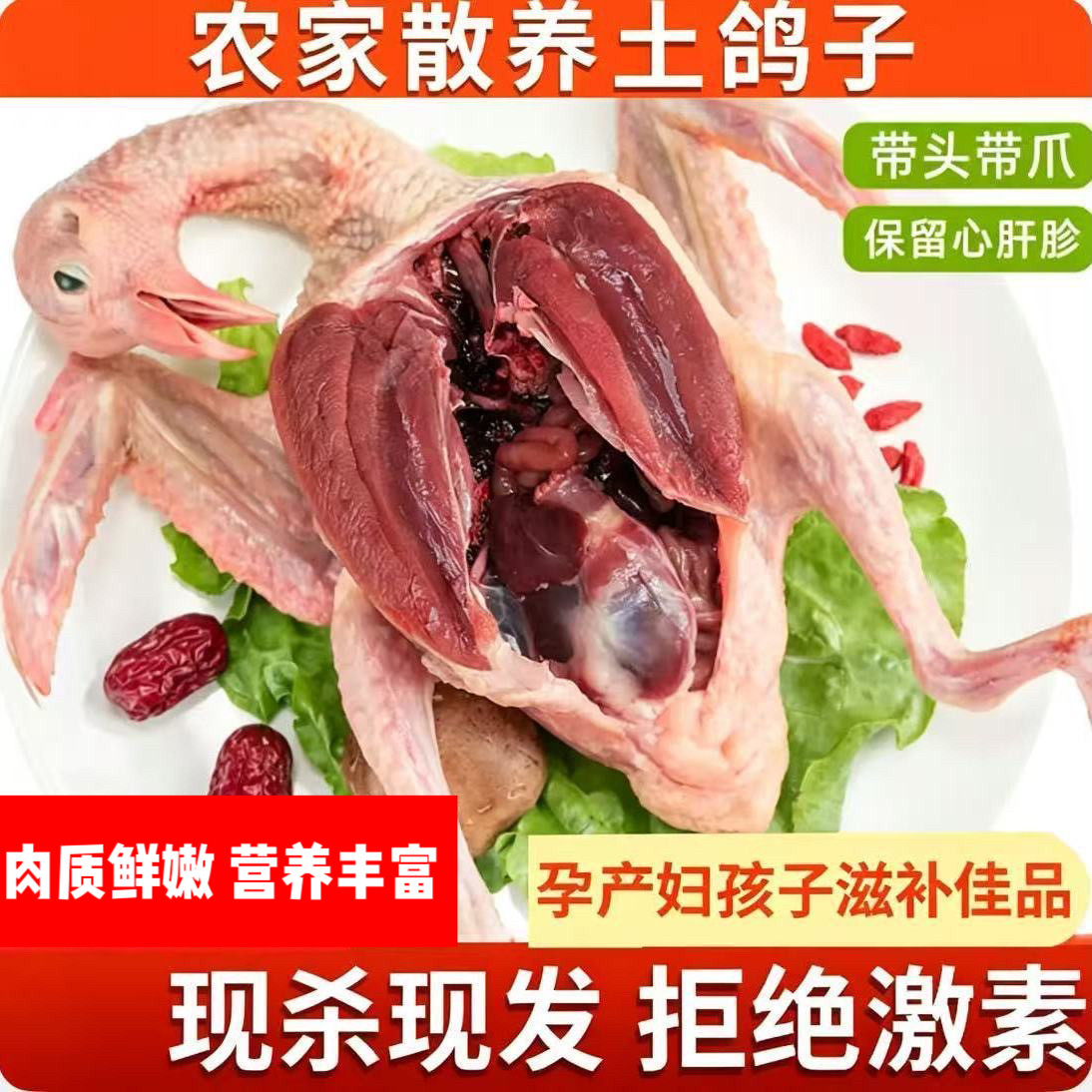 鸽子新鲜乳鸽子炖煲汤农家散养土鸽子鲜活肉生鲜冷冻老鸽子活鸽子