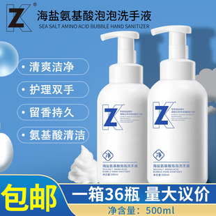 清洁家用洗手液泡沫整箱批发 海盐氨基酸泡泡洗手液消毒抑菌保湿