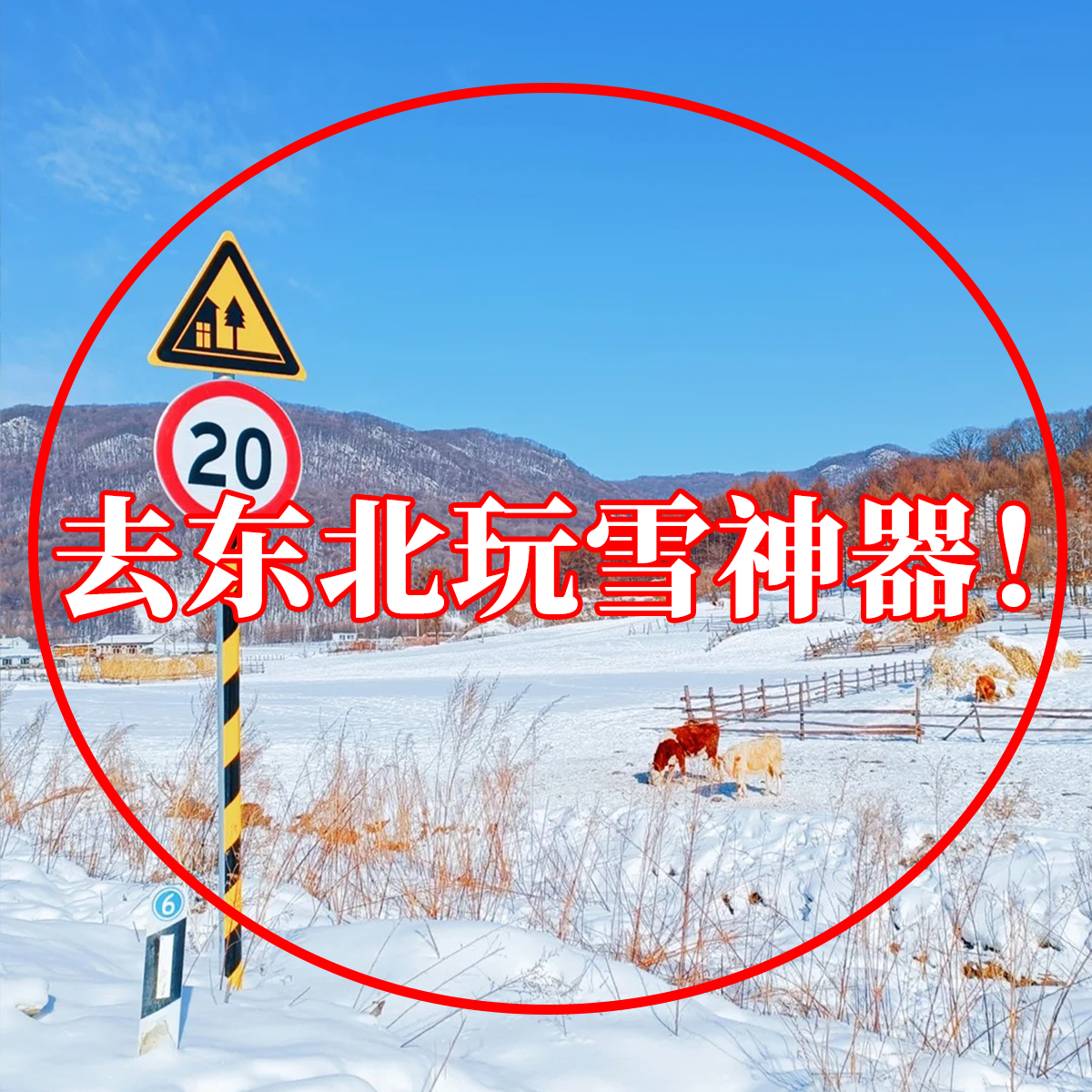 哈尔滨旅游必备防寒装备防雪腿套