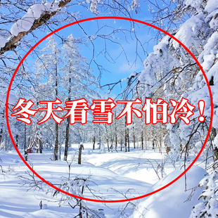 冬天看雪不怕冷 备大全 卡皮巴拉暖手贴哈尔滨旅游必备防寒保暖装