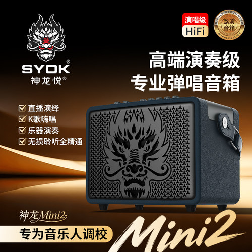 神龙MINI2便携吉他音箱弹唱