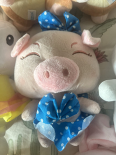 猪猪毛绒玩具公仔玩偶睡觉抱枕布娃娃送女生日礼物可爱小猪猪抱枕