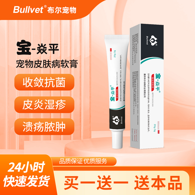 布尔宝猫狗皮肤病皮炎湿疹