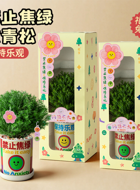 植季雾凇盆栽工位办公室桌面绿植摆件室内放青松植物雾松盆景礼物