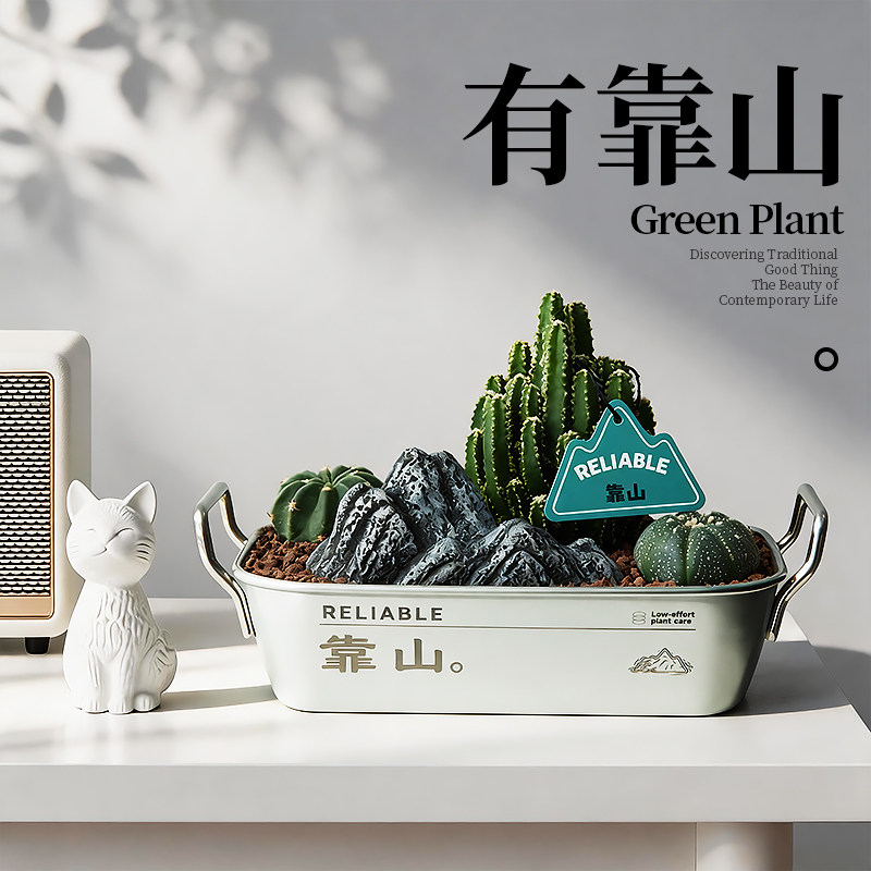 有靠山万重山仙人掌植物多肉盆栽铁饭碗办公室桌面绿植生日礼物