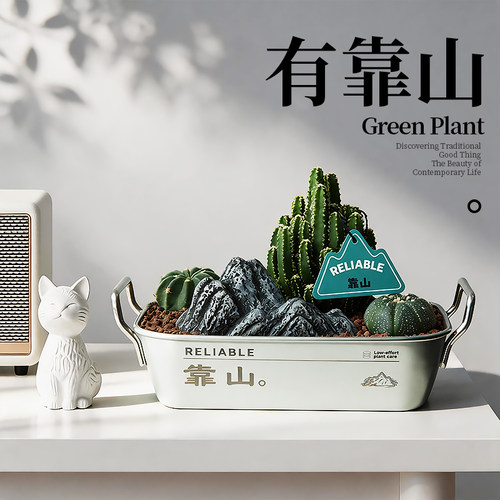 有靠山万重山仙人掌桌面绿植礼物