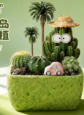 多肉组合盆栽桌面好养绿植礼物