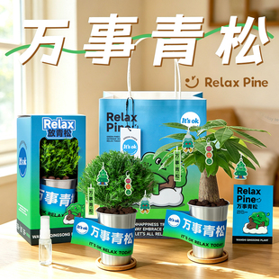 万事青松雾凇植物办公室桌面绿植盆栽工位摆件解压生日毕业礼物男
