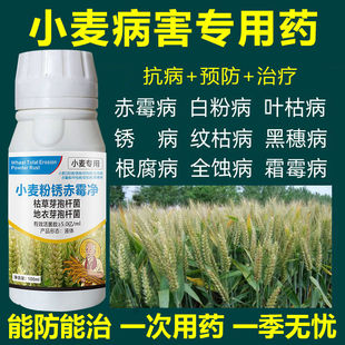 小麦专用药小麦病全治纹枯病锈病白粉病赤霉叶枯全蚀病专用杀菌剂
