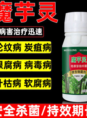 魔芋专用药杀菌剂防病汰腐净魔芋灵魔芋软腐病白娟病微生物杀菌剂
