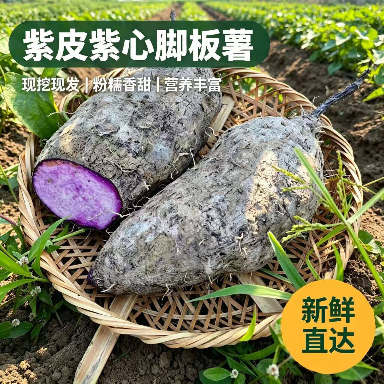 正宗脚板薯紫色古天根新鲜参薯淮