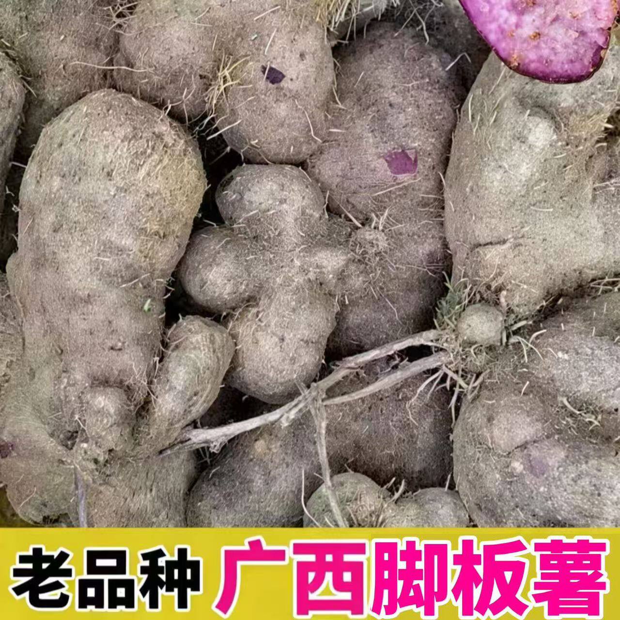 脚板薯紫大薯毛薯大薯新鲜粉糯香