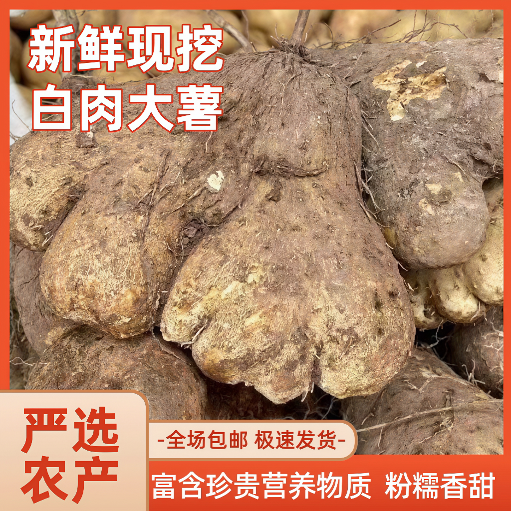 大脚板薯白心大薯秤砣山药大毛薯