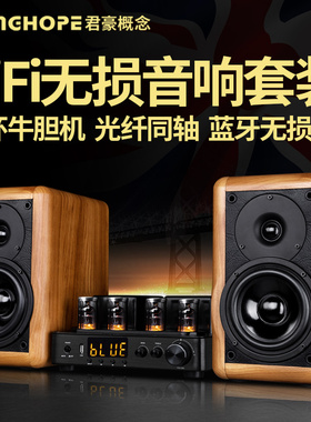 KINGHOPE君豪 A-2发烧电子管胆机组合音响功放hifi书架音箱套装
