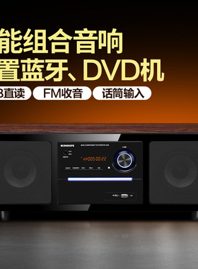 KINGHOPEPA-350桌面台式一体DVD/CD机组合音响蓝牙卧室收音机音箱