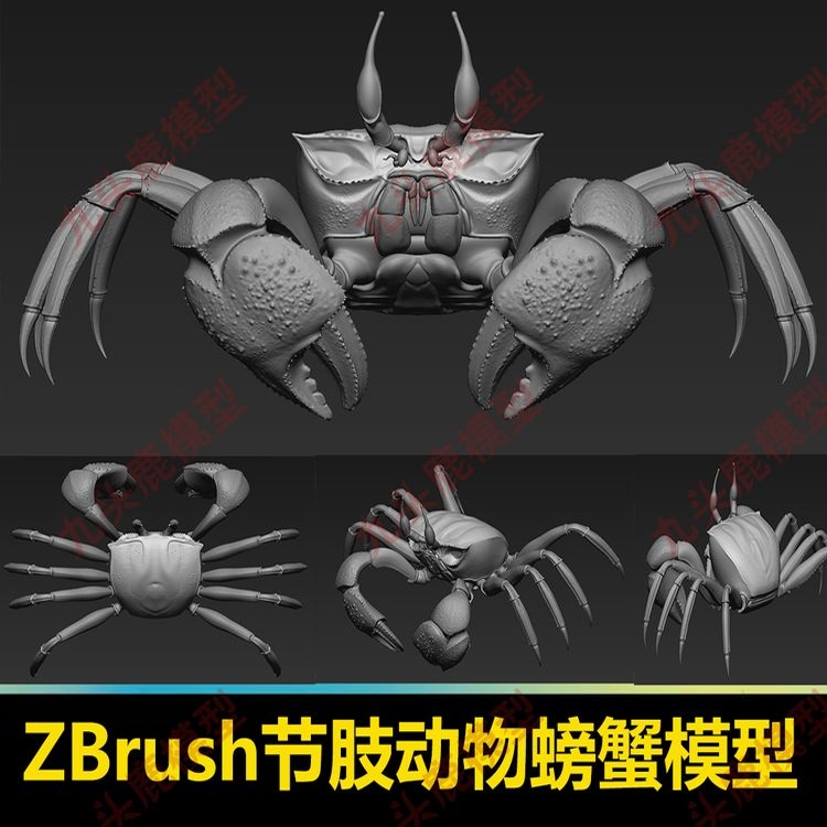 ZBrush节肢动物螃蟹模型大闸蟹模型螃蟹动物雕刻模型zb maya