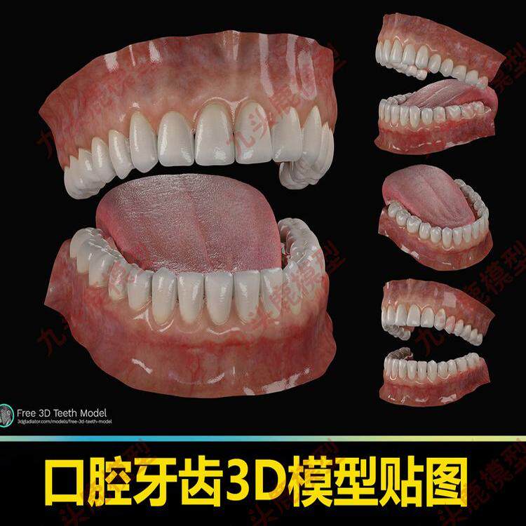 maya3D次时代牙齿口腔游戏影视美术Zbrush模型zb贴图素材