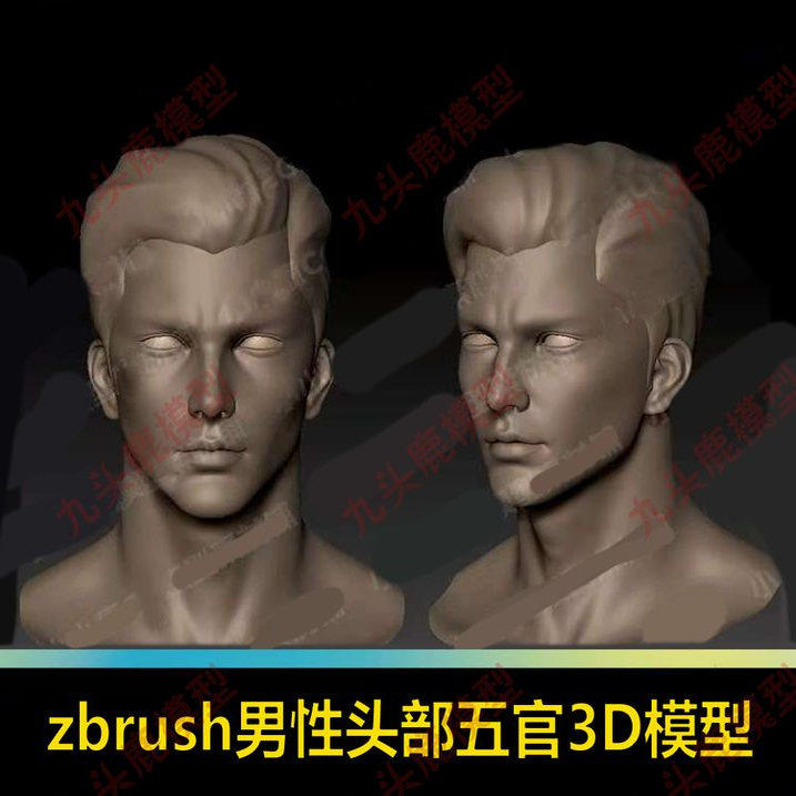 zbrush男性头部帅哥人头五官雕刻雕塑素描zb人脸3D基础模型素材