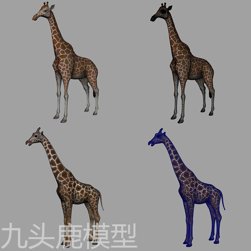 maya写实三维动物长颈鹿模型素材源文件带绑定表情控制器带贴图