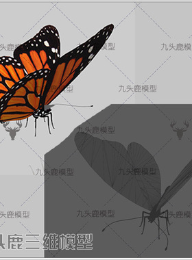 maya 3Dmax c4d blend ue4三维游戏动画花蝴蝶昆虫动物模型素材
