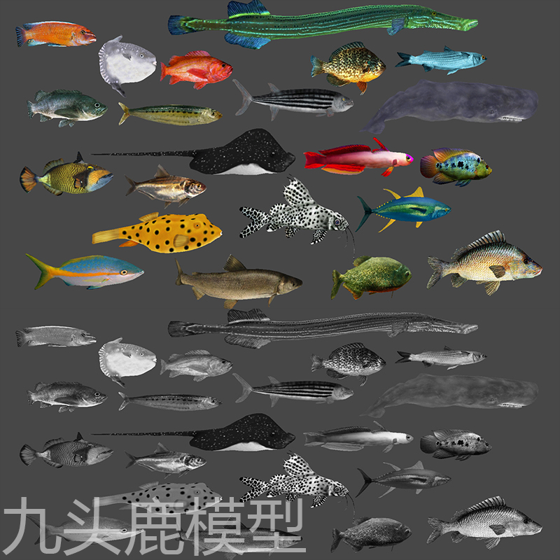 21个maya 3Dmax unity blender c4d三维写实海洋热带鱼类模型素材