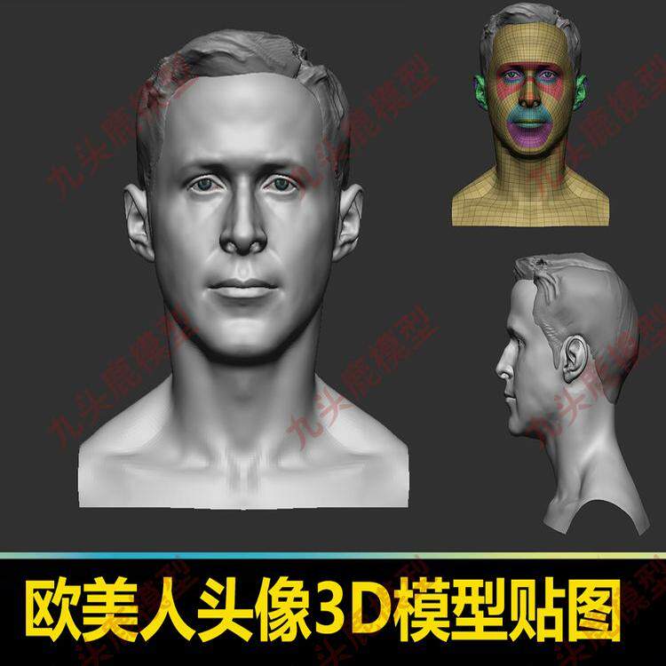 ZBrush欧美人头像头部3D三维模型基础模型源文件ztl源文件zb