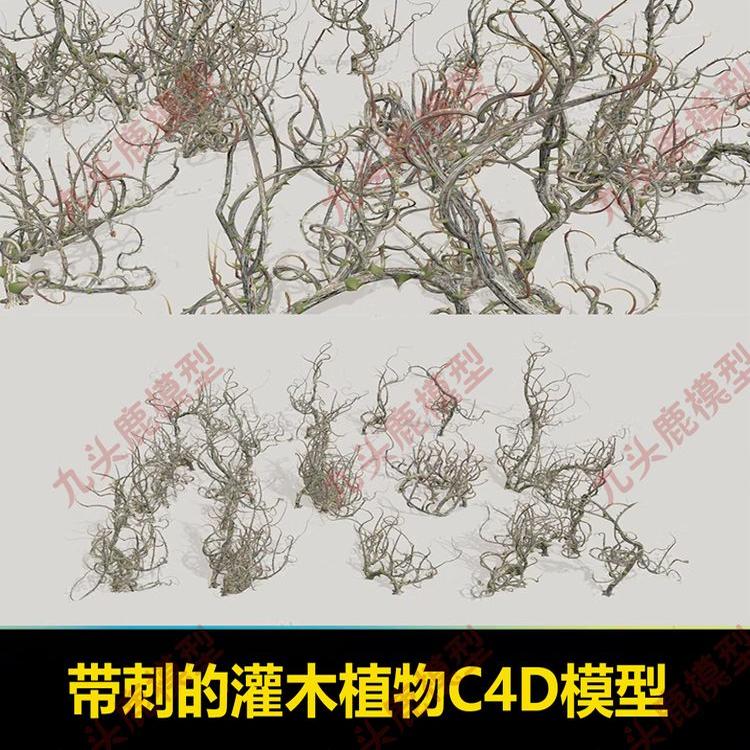 幻想藤蔓带刺灌木丛植物C4D fbx obj 模型3D建模素材资源