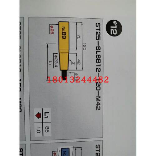 ST25-SLSB10-M42日本恩司